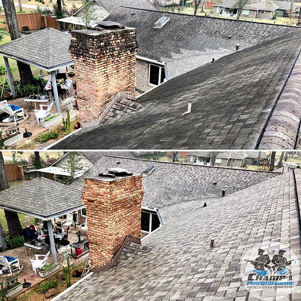 Soft Washing vs. Pressure Washing